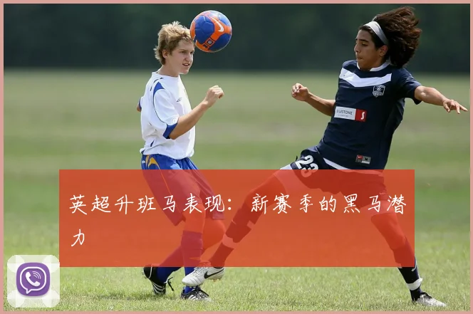 英超升班马表现:新赛季的黑马潜力