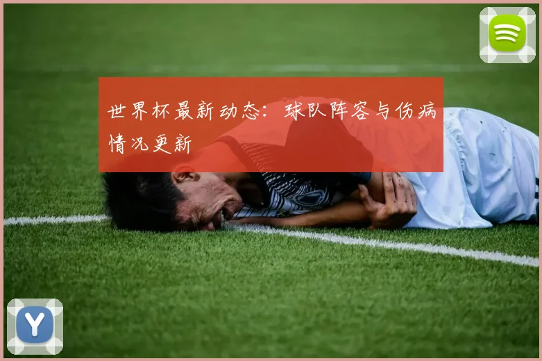 世界杯最新动态:球队阵容与伤病情况更新